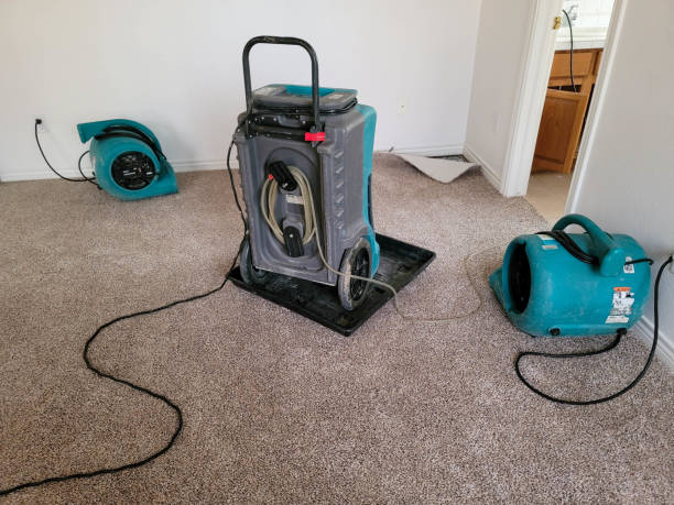 Best Commercial water damage restoration  in Schriever, LA