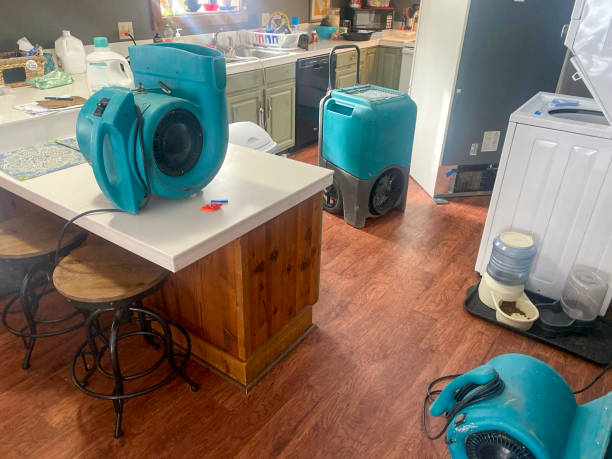 Best Water damage restoration near me  in Schriever, LA