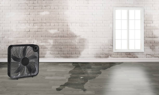 Professional Water damage restoration in LA