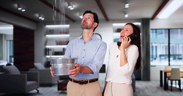 Best Residential water damage restoration  in Schriever, LA