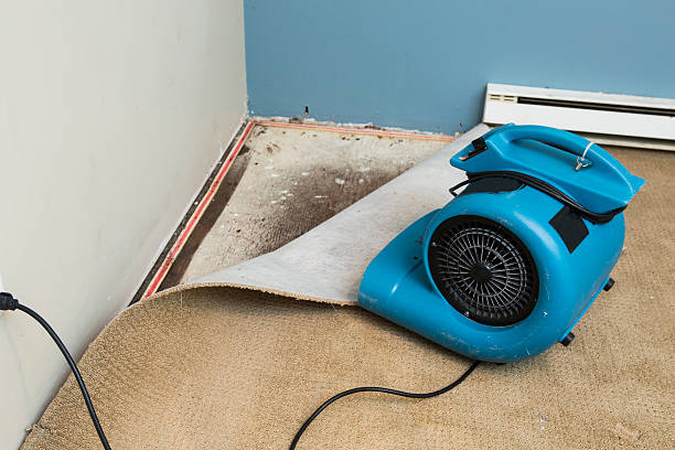 Best 24-hour water damage restoration  in Schriever, LA