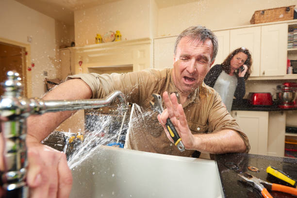 Best Fire Damage Restoration  in Schriever, LA